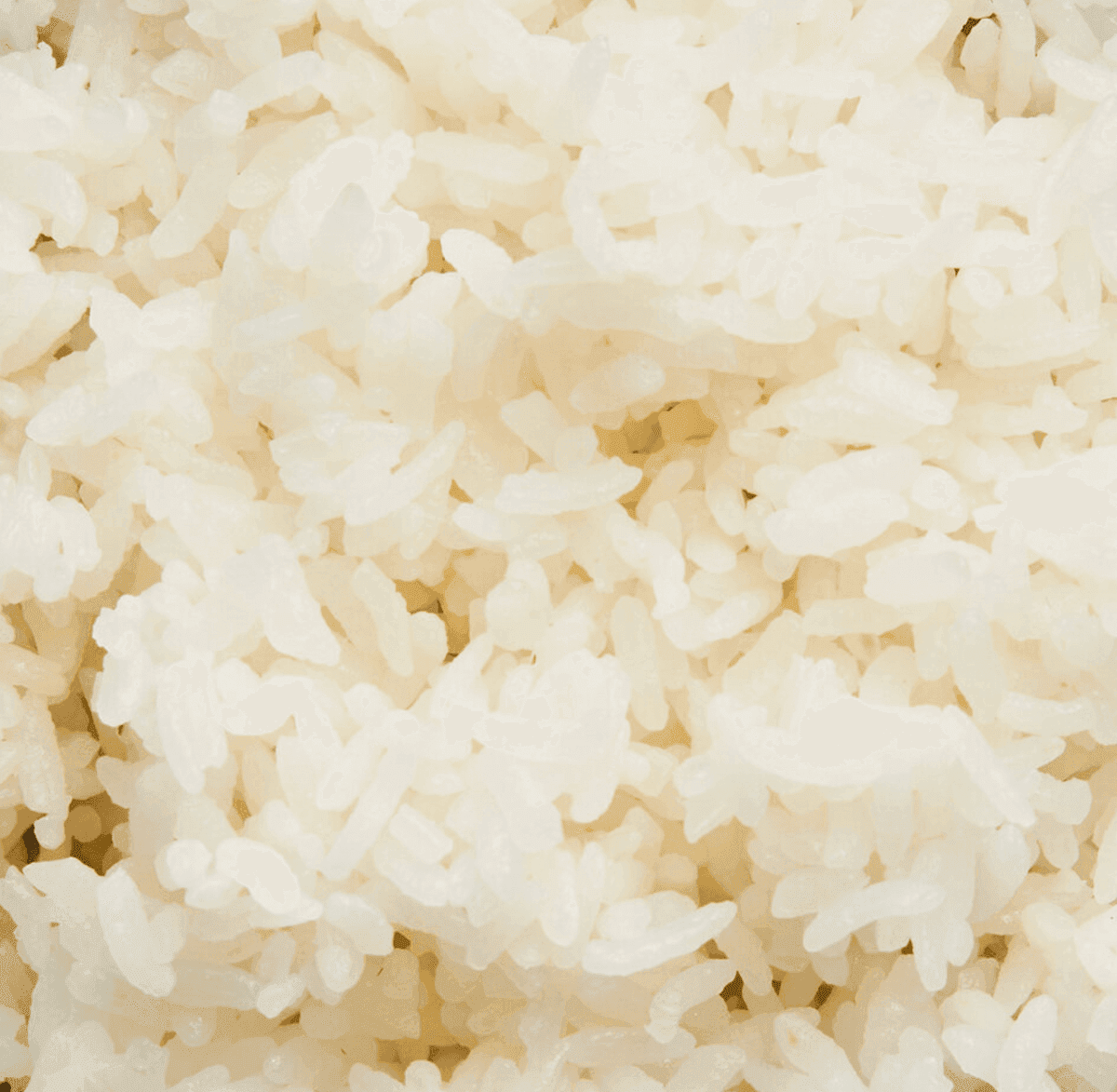 Plain White Rice